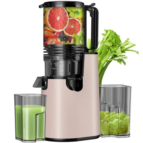 LQZ Cold Press Juicer-Slow Masticating Machines, 350W, 5.4" Feed Chute for Whole Fruits & Vegetables,High Juice Yield,Easy to Clean#backtoschool#sohochic