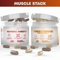 Muscle Stack – Testosterone Booster for Men - 2000mg Turkesterone, Tongkat Ali & Fadogia Agrestis – Strength, Stamina, Energy, Muscle Growth & Recovery Support – Men's T Booster Pills,  Pre WorkouLab Tested, 120 Capsules Protein Supplement Premium Protein