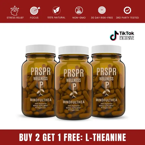 L-Theanine Capsules 3-Pack Bundle, Brain Energy Supplement & Focus Fuel for Mindfulness, Amino Acid Dietary Support for Jitter-Free Focus & Anxiety Management