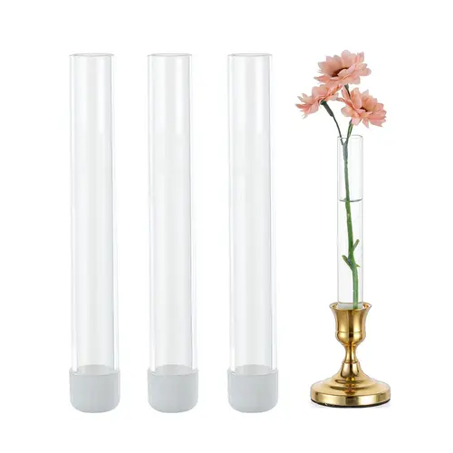 Glass Bud Vase - 5.9 in Skinny Vase with Silicon Case, Holds 22mm Taper Candlesticks & Fresh Blooms or Greenery, Minimalist Glass Style Elevates Decor, Room Decor Entryway Table Candle+Flower Combo, Bridal Wedding Gift, Entryway Table Decor