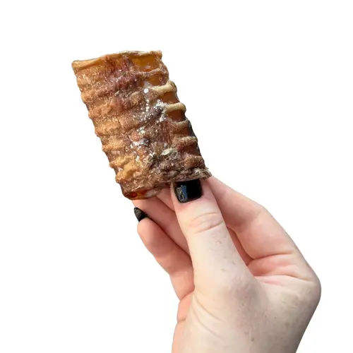 100% USA Grass-Fed Beef Trachea Chew for Dogs, Low-temperature Dehydrated Dried, Crunchy & Chewy Snack, Rich in Collagen, Glucosamine, and Chondroitin - Dried