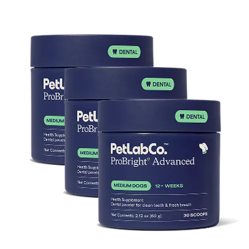 3x ProBright Advanced Dental Powder - Helps Reduce Bad Breath, Clean Teeth and Target Tartar Buildup. Backed by Two Clinical Studies
