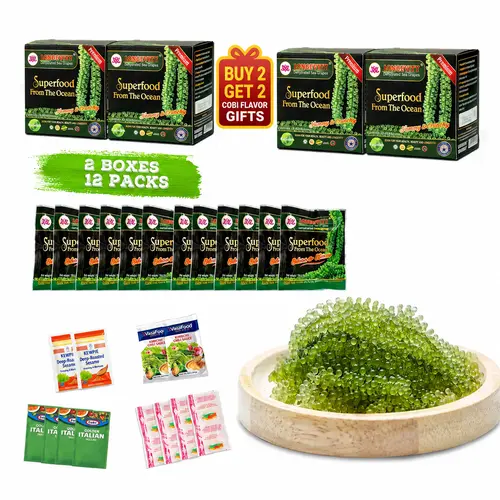 [Buy 2 Get 2 Gifts Free] 2 BOXES Longevity Dehydrated Sea Grapes - COMBO 2 BOXES 12 Packs Green Caviar Umibudo Latok Seaweed Organic Premium Quality Crunchy Flavor Superfood From The Ocean