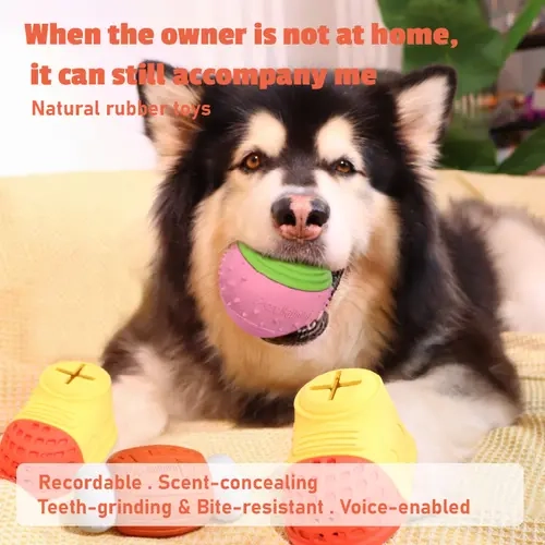 Puppy-Safe Size Voice-Enabled Rubber Bone Chew Toy - 11.6cm Shake-to-Play Pet Toy with Animal Print, Fruit Designs, Universal Fit, Blue Shape (Orange, Blue, Green, Yellow Colors)