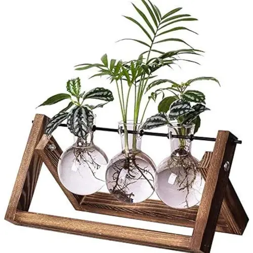 Plant Terrarium Propagation Station - 3 Glass Bulb Vases with Retro Wooden Stand Boho Desktop Planter for Hydroponics Home Garden Indoor Home Office Decor Unique Gifts for Women & Plant Lovers