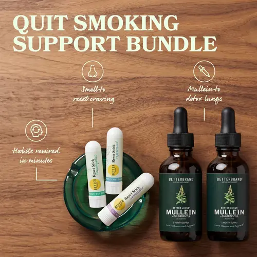 Betterbrand Breathing Support Bundle | Nasal Reset Sticks & (2) Mullein and Chlorophyll Tinctures Bundle to Quit Bad Habits | Lung Detox and Cessation Bundle