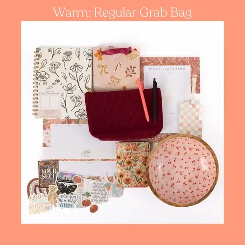 Elyse Breanne Design Office Stationery Grab Bag - Backtoschoolshopping College School Supplies Stationary Kit with 10 Stickers, 3 Gel Pens, $250+ Value Storage Solution for Writing & Correction Tools, Computers & Office Equipment Use