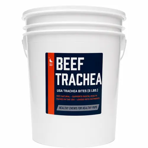 USA Beef Trachea Bite Bucket (5 Pounds) 100% Natural Dog Chew Treats - Huge Bulk Value - Single-Ingredient - High in Glucosamine and Chondroitin to Support Healthy Joints