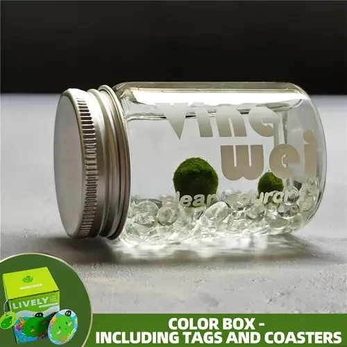 Live Aquarium Plant - Soothing Marimo Moss Ball Vibe Bottle, Self-Sustaining Desk Ecosystem for Positive Energy & Focus, Mini Low-Maintenance Habitat for Low-Light Spaces (Includes LIVELY Moss Ball Pet)