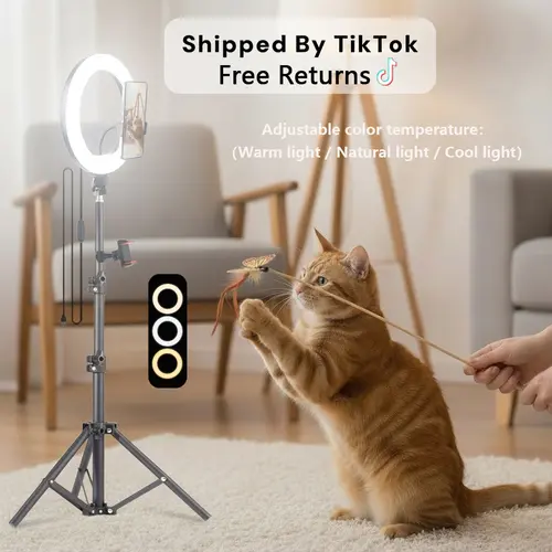 Video Light Kit: 25.6cm Outer Dimmable LED Ring Light, Light Stand（43 inch/110cm）With 2 Phone Holder for TikTok Videos, YouTube, TikTok, Self Portrait Shooting, live stream makeup vlog#ring light shade
