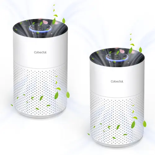 Cobectal 4000C 3-in-1 Air Purifier for Home Bedroom - Sleep Mode, Removes Dust, Pollen, Mold, Smoke, Odors - Ideal for Family, Children, Babies, Friends - Thanksgiving Back to School TikTokShop, Timer, Adjustable