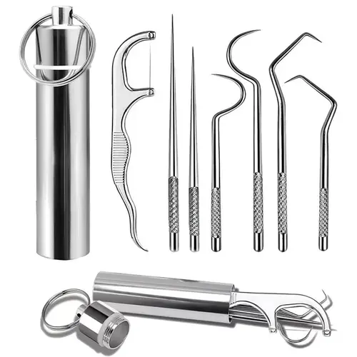 7PCS Stainless Steel Toothpick Pocket Set, Dental Floss Pick, Reusable Teeth Cleaning Tools Kit with Portable Holder, Keychain Design for Outdoor Picnic, Camping, Travel Essentials,back to school,back to school haul
