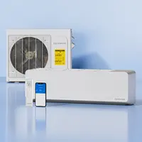 Cozeware Enduring Series 12000 BTU 115V/230V Mini Split AC Heating System, 20 SEER2 WiFi Alexa Inverter Air Conditioner with Mini Split Installation, Cools Up to 750 Sq Ft for Home, Office (2 Packages)