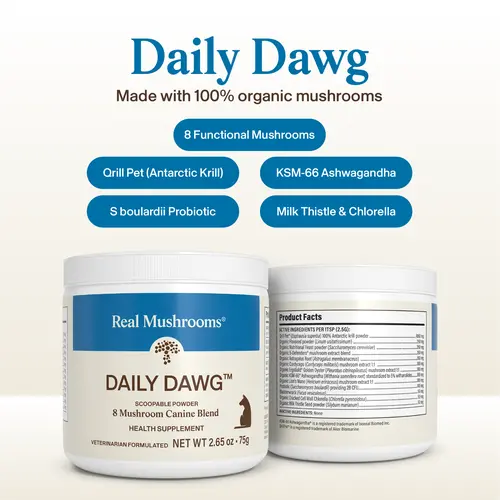 Real Mushrooms Daily Dawg Powder | Organic Mushroom Blend with Herbs and Minerals | Vet Formulated Dr Rob Silver DVM | NASC Certified | Meal Topper | 75g 30 Servings