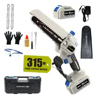 Sun Joe Mini Chainsaw, 6-Inch Cordless 1-Handed Pruning Saw Kit with Replacement Chain, Charger, Oil, Gloves & Hardshell Case