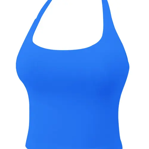 Seamless Halter Tops for Women, 2026 Summer Going Out Tops, Fitness Sport Top, Backless Crop Sleeveless Breathable Gym Workout Shirts, Cute Y2k Clothes, Double Lined Crop Sports Vest, Sport Activewear, Summer Sports Clothing