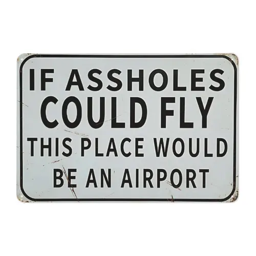 "If Aholes Could Fly, This Place Would Be an Airport" Vintage Metal Sign |   12x8 Inch Rustic Wall Art for Garage, Home Bar & Man Cave |   Retro 2D Flat Tin Decor with Pre-Drilled Holes, Easy to Hang |   Sarcastic Gag Gift for Humor Lovers**