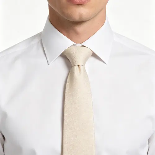 Men's Solid Color Tie – Classic Silk-Like Formal Necktie for Weddings, Business & Groomsmen| Slim/Regular Width [8cm]