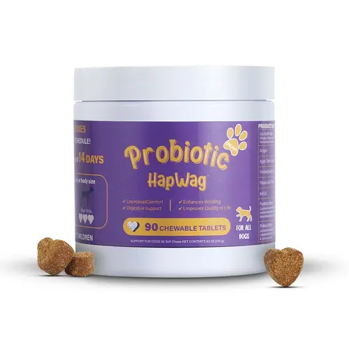 HAPWAG Chicken Flavor Canine Probiotics Chewables - 90 Chewable Tablets, Daily Canine Wellness Nutritional Supplement, Gut Health Support, Digestion Aid, Immunity Boost, Premium Ingredients