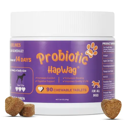 HAPWAG Beef Flavor Chewable Dog Probiotic Blend - 90 Chewables, 24 Months Shelf Life, Daily Canine Wellness Supplement with Gut Health Support, Digestion Aid, Immunity Boost, Premium Ingredients