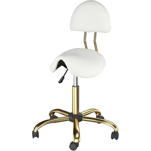 OmySalon Height-Adjustable Saddle Stool with Wheels & Backrest - 5-Claw Stable Base, 360° Smooth Roll, Spine Support, Swivel, Sit-to-Stand Options - 400lbs Capacity for Salon, Clinic Use sohochic