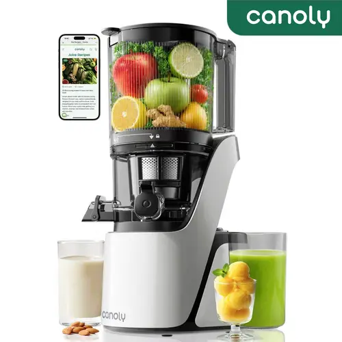 CANOLY 3-in-1 Whole Vertical Juice Extractor Machine - 250W Cold Press Juicer, Household Blender for Smoothies & Shakes, 6in Wide Feed Chute, 35dB Quiet AC Motor, Easy Clean, Dishwasher Safe, BPA-Free, Whole Vertical Juicer