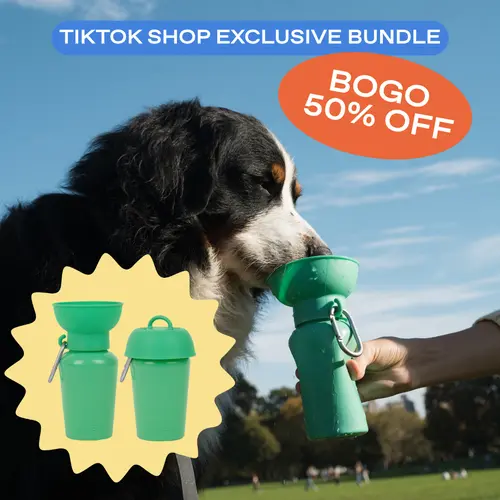 TikTok Exclusive: 20oz Flip Dog Travel Water Bottles (Set of 2)