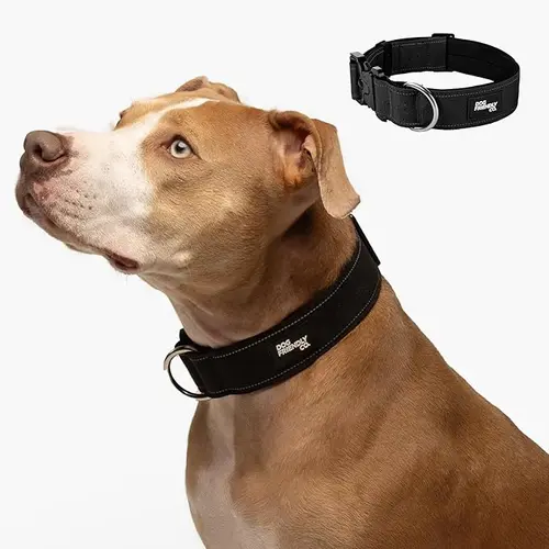 Tactical Dog Collar - Heavy-Duty Quick Release Buckle, Plain, Comfortable Wear, Custom-Printed, Reflective Night Visibility Design