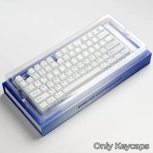 XVX 120-Keys Ceramic Keycaps Set, Cherry Profile with Colorful Legend Keys, Ultra Smooth Carefully Finished Surface, Ceramic Caps for Cherry MX Mechanical Keyboards, Additional Rebound Force & Consistent Lighting
