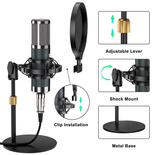 Tenlamp P15 Professional Condenser Microphone, Plug & Play Streaming Mic Compatible with G10 Sound Card & C200 Host, Ideal for Live Streaming, Karaoke, Podcast & Gaming