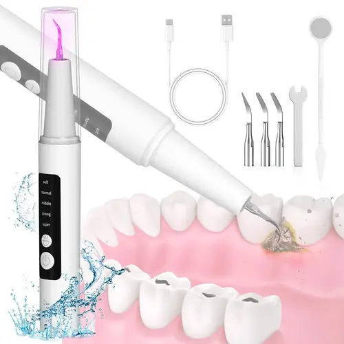 Professional Electric Plaque Remover for Teeth with LED Light, Rechargeable Teeth Cleaning Kit, 5 Adjustable Cleaning Modes, 2 Replaceable Heads, Dental Tartar Cleaner for Home & Travel Oral Care