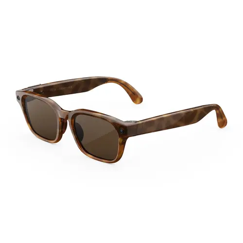 Meta Adventurer Standard Classic Tortoise Brown Lenses