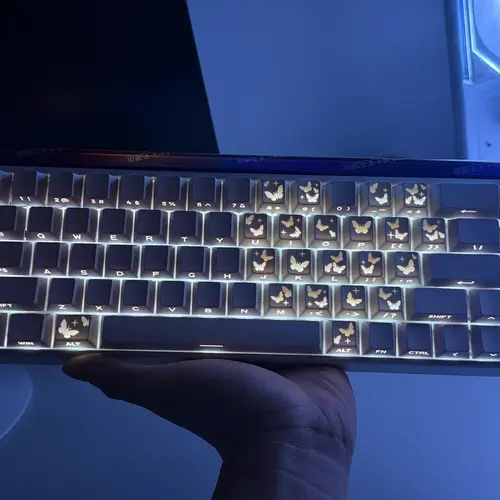 21-Key Butterfly PBT Keycap Set, Side-Printed RGB Shine Through Keycaps for Mechanical Aesthetic Keyboards with RGB Backlighting, Rgb Backlighting Keyboards Diy Layout, Only keycaps,Keyboard Not Included pc accessory