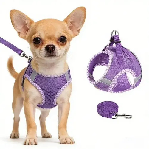 2Pcs Dog Harness and Leash Set, Adjustable No Pull Dog Chest Strap, Outdoor Walking Pet Supplies for Small Medium Large Dogs Reflective Step-in Dog Harness & Leash Set, Soft Mesh No Pull Puppy Vest Harness, Adjustable Lightweight Walking Gear campingessen