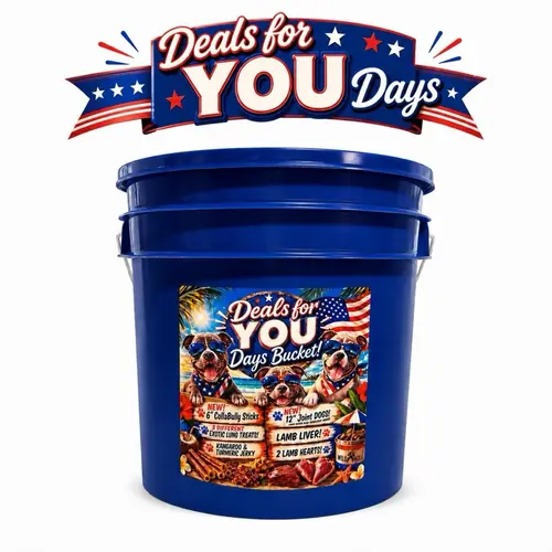 Deals For You Days Bucket Bundle