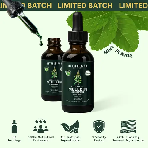 Betterbrand Limited Batch Mint Flavor Mullein Leaf & Chlorophyll Drops for Lung Detox & Mucus Cleanse - 30 Servings - Clinically Studied Natural Liquid Herbal Supplement for Respiratory Wellness