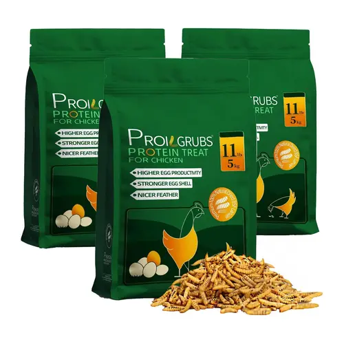 PROILGRUBS 33lbs  Dried Black Soldier Fly Larvae Protein Treat for Chickens - High Protein and Calcium for Strong Eggs and Healthy Feathers Natural feeding #backtoschool #sohochic