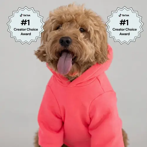 Comfrt | Neon Tranquil Paw Hoodie | Midweight Fleece Dog Hoodie In Vibrant Neon Colors