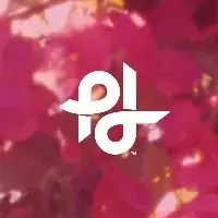 Popilush LLC