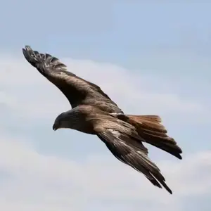 KUKTO