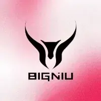 BIGNIU EBIKE