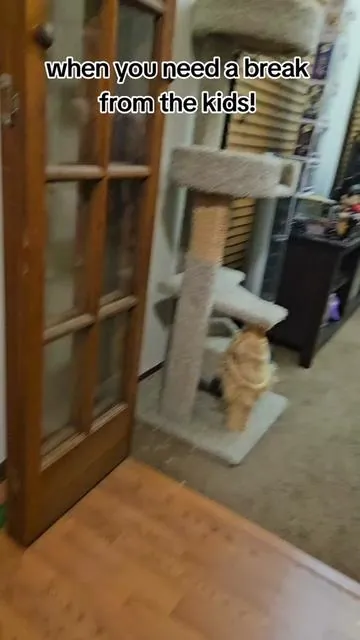 #gamingchair #chair #gamer #dadsoftiktok #dad 