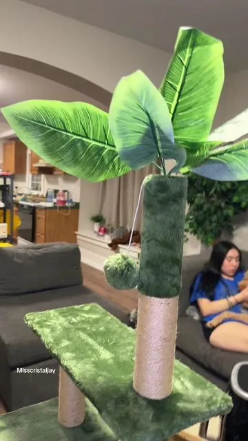 📣 Loving the look of the #WeCharmer cat 🐱 tree! As a plant girly, this fit right in with my decor. Its super soft, and easy to assemble. 🐈 🐈‍⬛ 🐾 go spoil your furry friends! #cattree #tiktokshop #cats #catlover #animals 