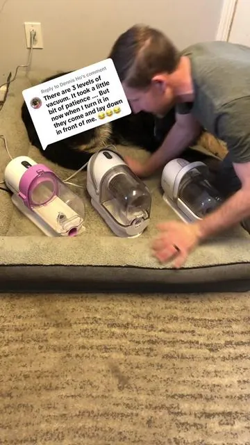 Replying to @Dennis Ho It comes with three different sound/suction levels! You can train your dog in no time! I like this one the best!  #doggroomer #doggrooming #dogs #dogsoftiktok #hair #springclean #springcleaning #spring #dogbrushing #cats #catgrooming #vacuum #dogvacuum 