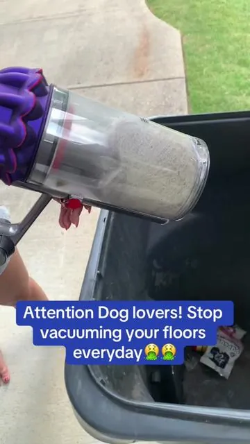 Multiple attachments, easy setup, fast shipping. I can’t say enough good things about this pet vac #petsoftiktok #petvacuum #shopping #pets #affiliatetiktok #tiktokshop 