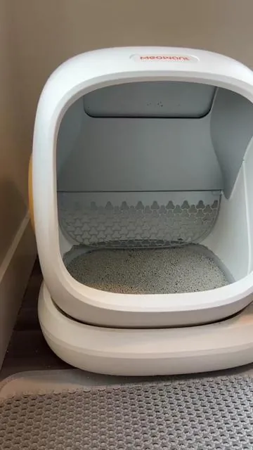 Best. Thing. Ever 🙌#creatorsearchinsights #catbox #litterbox #litterrobot #cat #cats #catsoftiktok #kitty #kitten #clean #cleantok #household #pets 