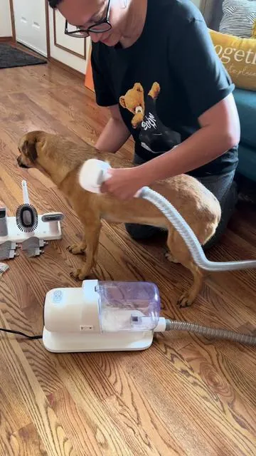 If your pet sheds you understand the struggle! This Pet Grooming Kit by @LMVVC is the best Pet Grooming Kit for your fur babies. 😻💛🐶 I am so impressed by it. Check the link below so you can get yours.  . #createwhitchris #petgroomingtools #petgrooming #petgroomingkit #petsupplies #petcare #tiktokshop #lmvvcdoggrooming #lmvvc #tiktokshopping #dogsoftiktok #pets #petsoftiktok #gooddeals #musthaves #capcut #groomer #foryou #foryoupage #fypage #CapCut 