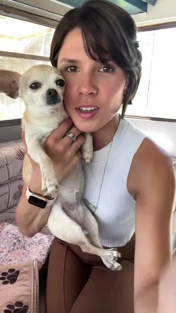 For all of the tiny bladder dog owners! #dogsoftiktok #indoordogpotty #reusablepottypad #indoordog 