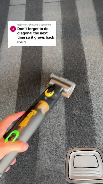 Replying to @John Doe  Might need to water it too 😂 #fanttik #carsoftiktok #cars #car #carvacuum #vacuum #cleantok #clean #cleancar #carhacks #sale #flashsale #dealsforyoudays 