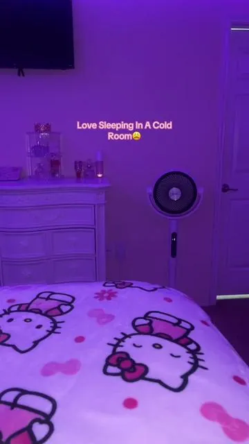 The Fact That You Can Hear The Air✨ #levoit #levoitfan #fan #roomfan #fans #foryoupage #abanico #abanicos #paratii #coldroom #coldroomcheck 